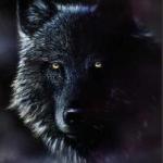 blackw0lf